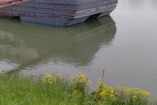 PHOTO-2023-05-19-09-35-06 2