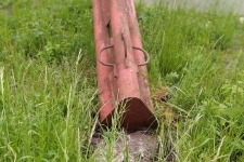 PHOTO-2023-05-19-09-35-06 4